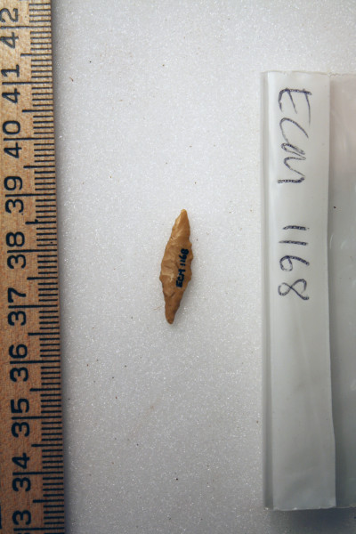 ECM.1168-2010-B image ECM.1168-2010-B