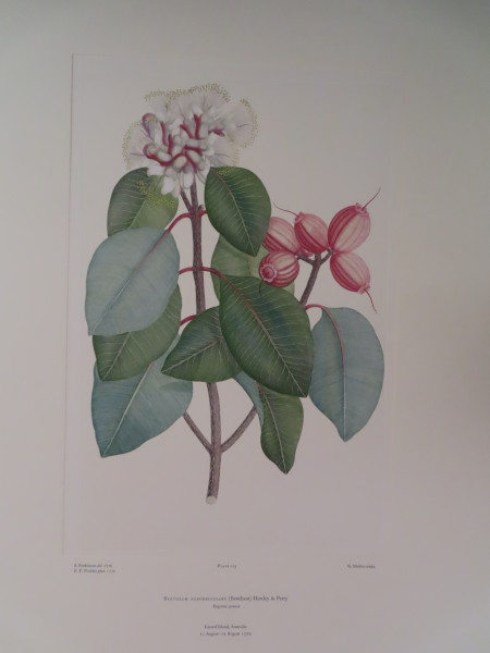 image FDA-E.2916_6_16-2016