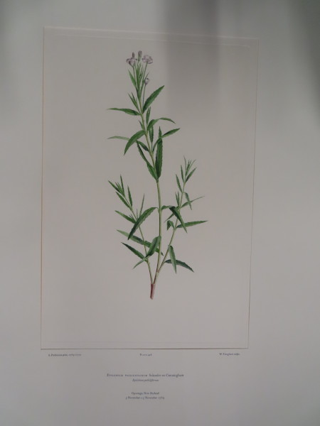 image FDA-E.2916_22_5-2016