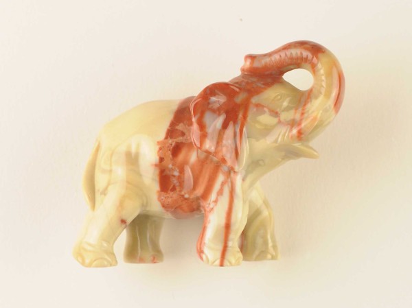 NHM-EE.100-2015 image NHM-EE.100-2015