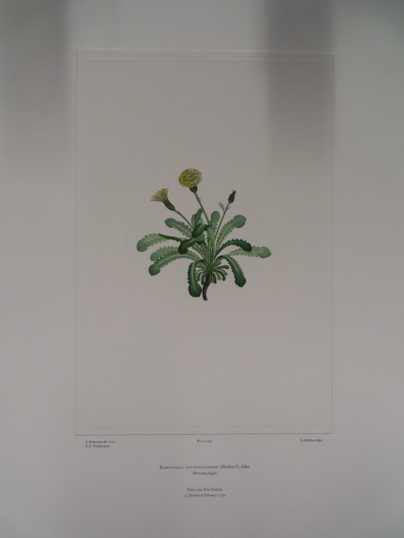 FDA-E.2916_24_6-2016 image FDA-E.2916_24_6-2016