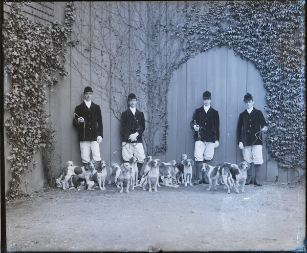 PA-N.1066-2024 image PA-N.1066-2024