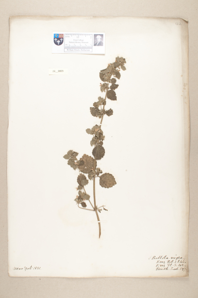 NHM_HH_23.3-2010 image NHM_HH_23.3-2010