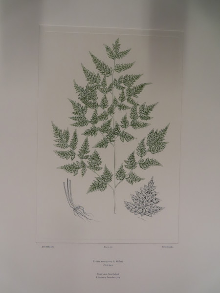 image FDA-E.2916_27_12-2016