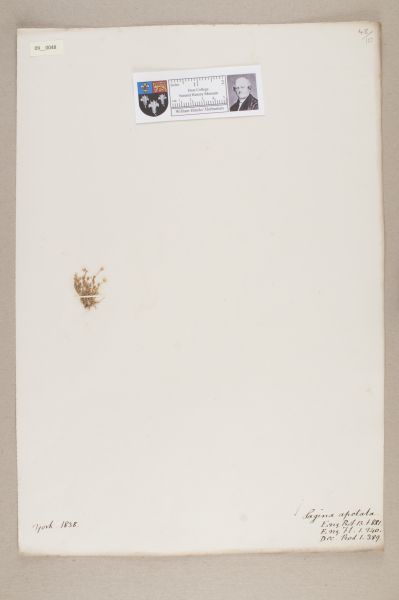 NHM_HH_9.48-2010 image NHM_HH_9.48-2010