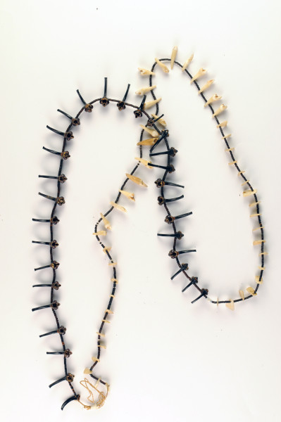 NHM-HT.143-2014 image NHM-HT.143-2014