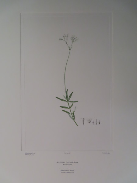 image FDA-E.2916_10_17-2016