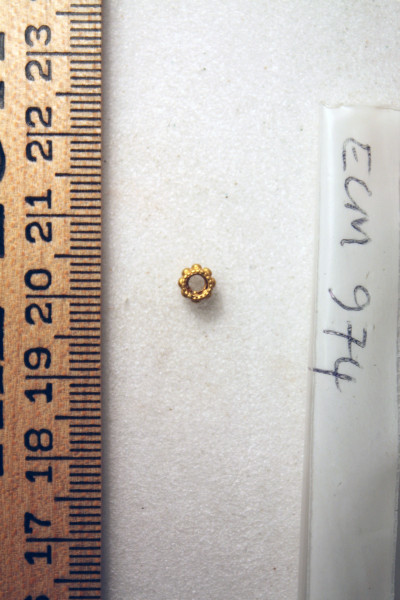 ECM.974-2010-B image ECM.974-2010-B