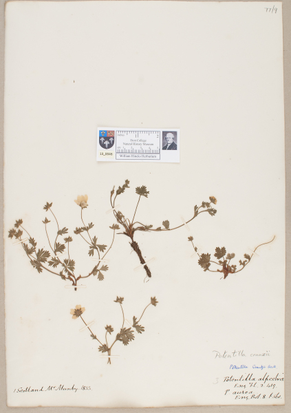 NHM_HH_13.46-2010 image NHM_HH_13.46-2010