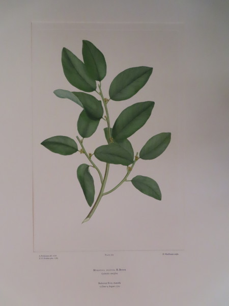 FDA-E.2916_12_23-2016 image FDA-E.2916_12_23-2016