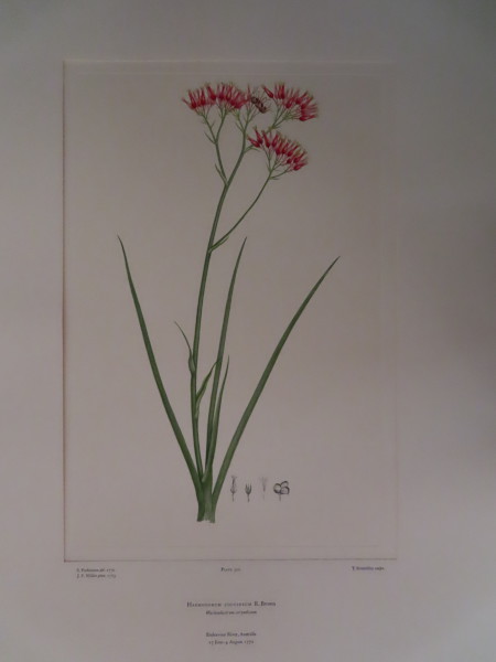 image FDA-E.2916_15_8-2016