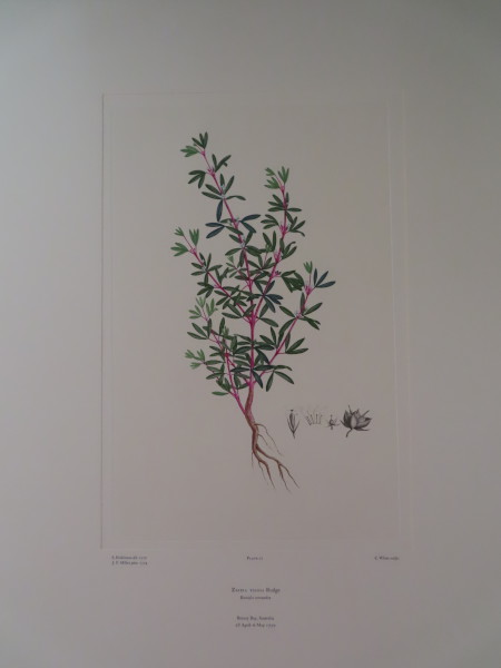 image FDA-E.2916_2_8-2016-A