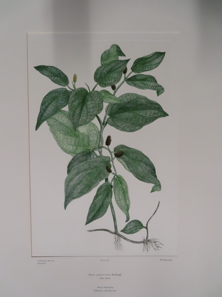 image FDA-E.2916_18_11-2016