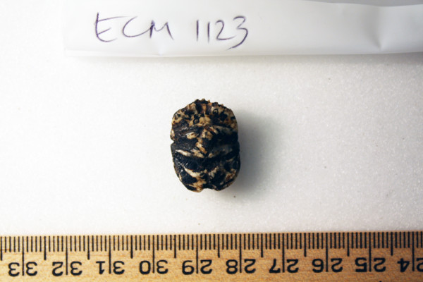 ECM.1123-2010-B image ECM.1123-2010-B