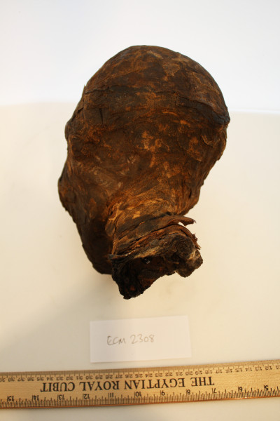 ECM.2308-2017-D image ECM.2308-2017-D