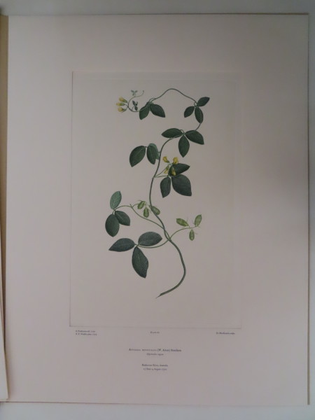 image FDA-E.2916_4_18-2016