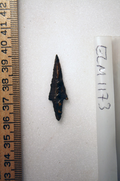 ECM.1173-2010-B image ECM.1173-2010-B