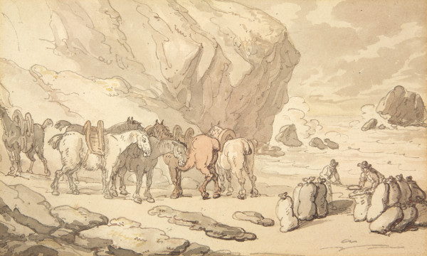 FDA-D.455-2010 image FDA-D.455-2010