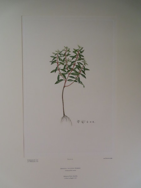 image FDA-E.2916_6_22-2016-A