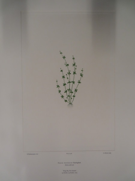 image FDA-E.2916_23_10-2016-A