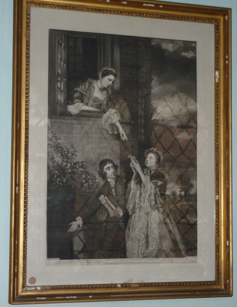 FDA-E.246-2010 image FDA-E.246-2010