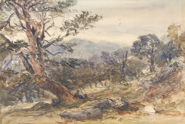 FDA-D.145-2010 image FDA-D.145-2010