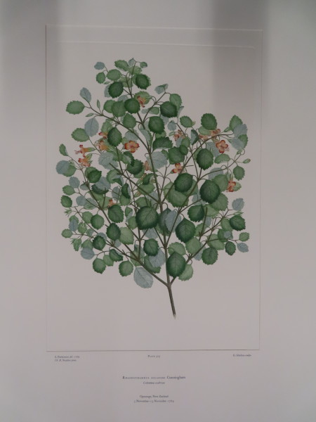 FDA-E.2916_25_11-2016-A image FDA-E.2916_25_11-2016-A