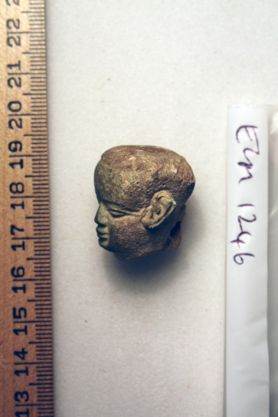 ECM.1246-2010-B image ECM.1246-2010-B