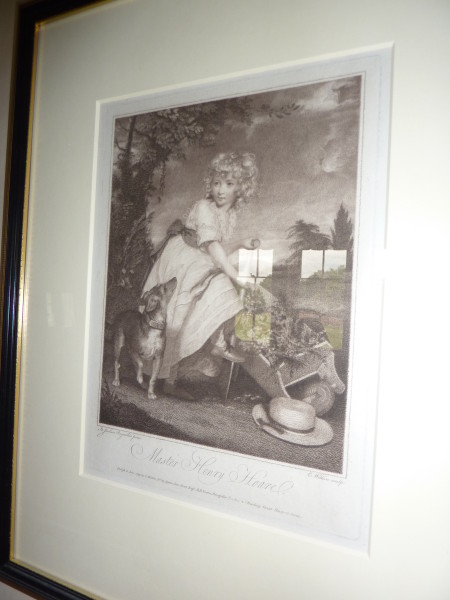 FDA-E.486-2013 image FDA-E.486-2013