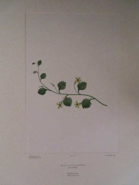 FDA-E.2916_8_26-2016 image FDA-E.2916_8_26-2016