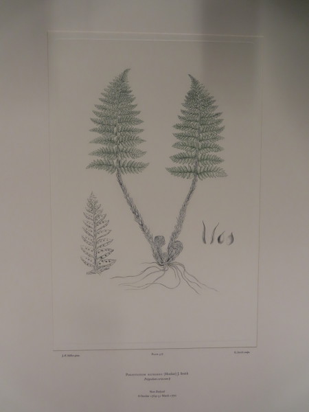 image FDA-E.2916_27_18-2016-A