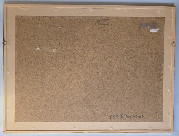 FDA-E.943-2013-A image FDA-E.943-2013-A