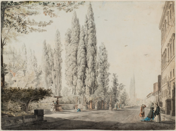 FDA-D.1556-2016-cr image FDA-D.1556-2016-cr