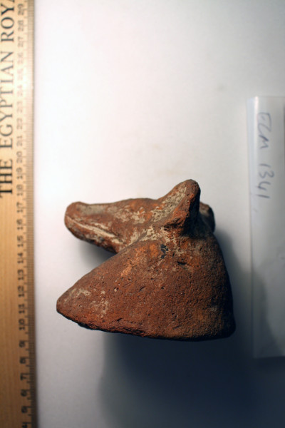 ECM.1341-2010-C image ECM.1341-2010-C