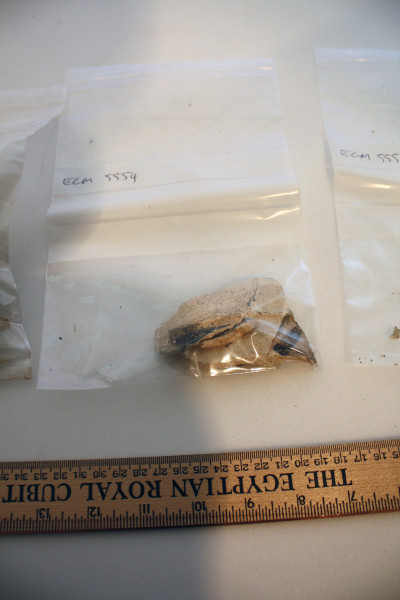 ECM.5554-2017-C image ECM.5554-2017-C