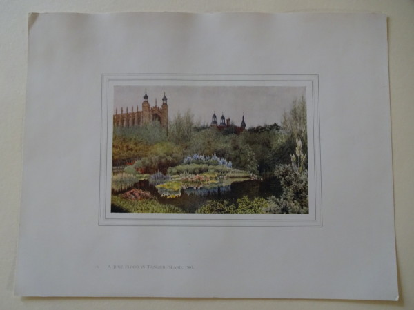 FDA-E.2833_6-2016 image FDA-E.2833_6-2016