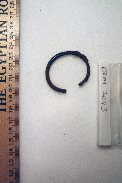 ECM.2043-2010-B image ECM.2043-2010-B