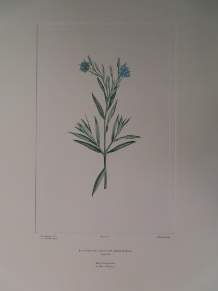 image FDA-E.2916_10_22-2016