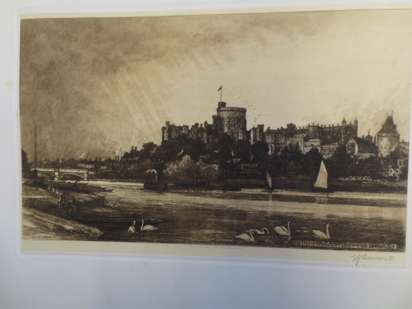 FDA-V.13-2016-M image FDA-V.13-2016-M