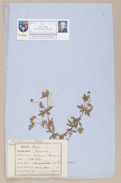 NHM_HH_13.56-2010 image NHM_HH_13.56-2010