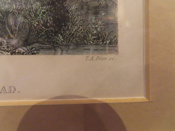 FDA-E.3239-2023-E image FDA-E.3239-2023-E