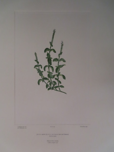 FDA-E.2916_12_5-2016 image FDA-E.2916_12_5-2016