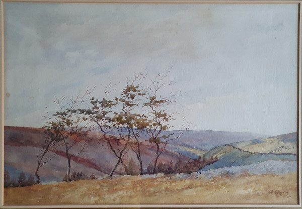 FDA-D.1716-2023-A image FDA-D.1716-2023-A