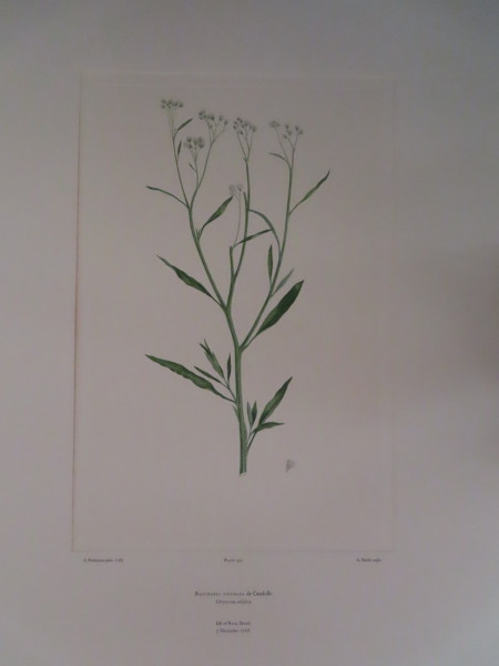 image FDA-E.2916_16_13-2016