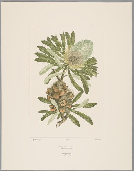 FDA-E.2916_13_18-2016-cr image FDA-E.2916_13_18-2016-cr