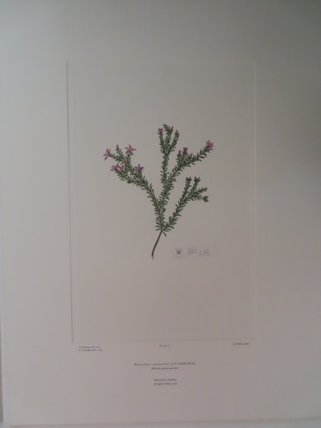 FDA-E.2916_2_14-2016-A image FDA-E.2916_2_14-2016-A