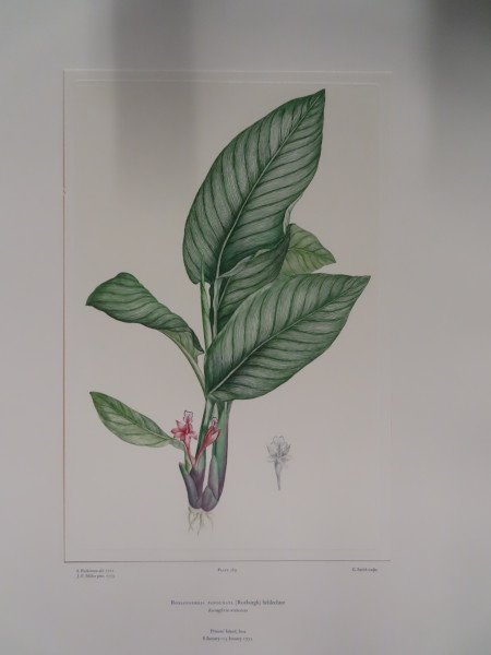 FDA-E.2916_18_17-2016-A image FDA-E.2916_18_17-2016-A