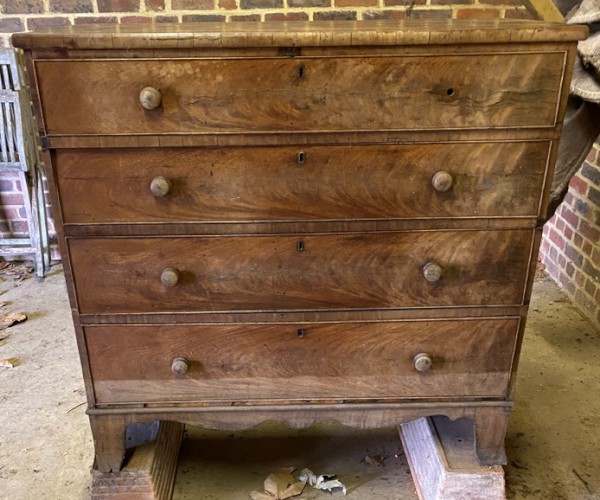 FDA-A.2314-2021 image FDA-A.2314-2021