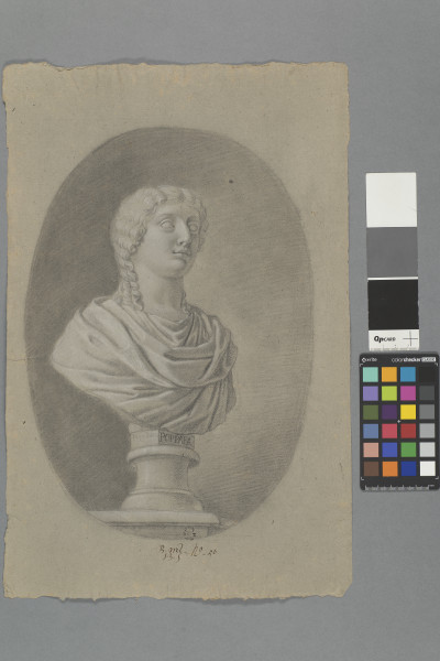 ECL-Bm.13_50-2013-A image ECL-Bm.13_50-2013-A