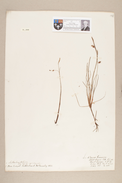 NHM_HH_33.48-2010 image NHM_HH_33.48-2010